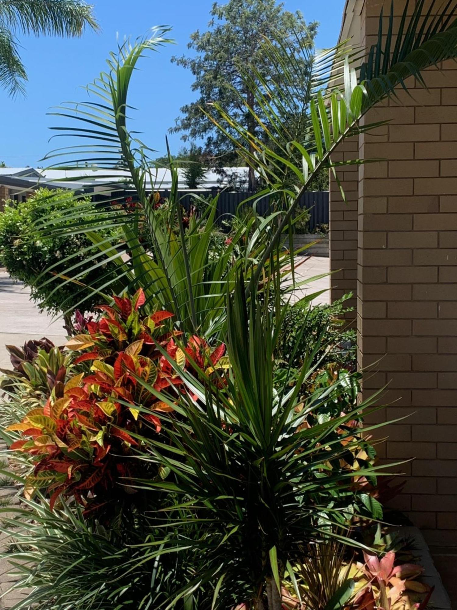 Shady Rest Motel Gympie Exterior photo